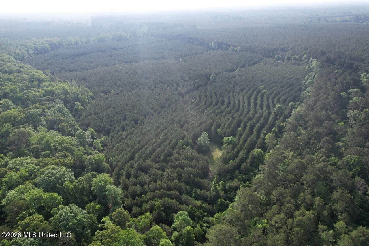 46 Acres in St. Helena Parish, LA Hunting Property for Sale
