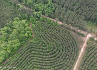 47 Acres in St. Helena Parish, LA with Black Creek