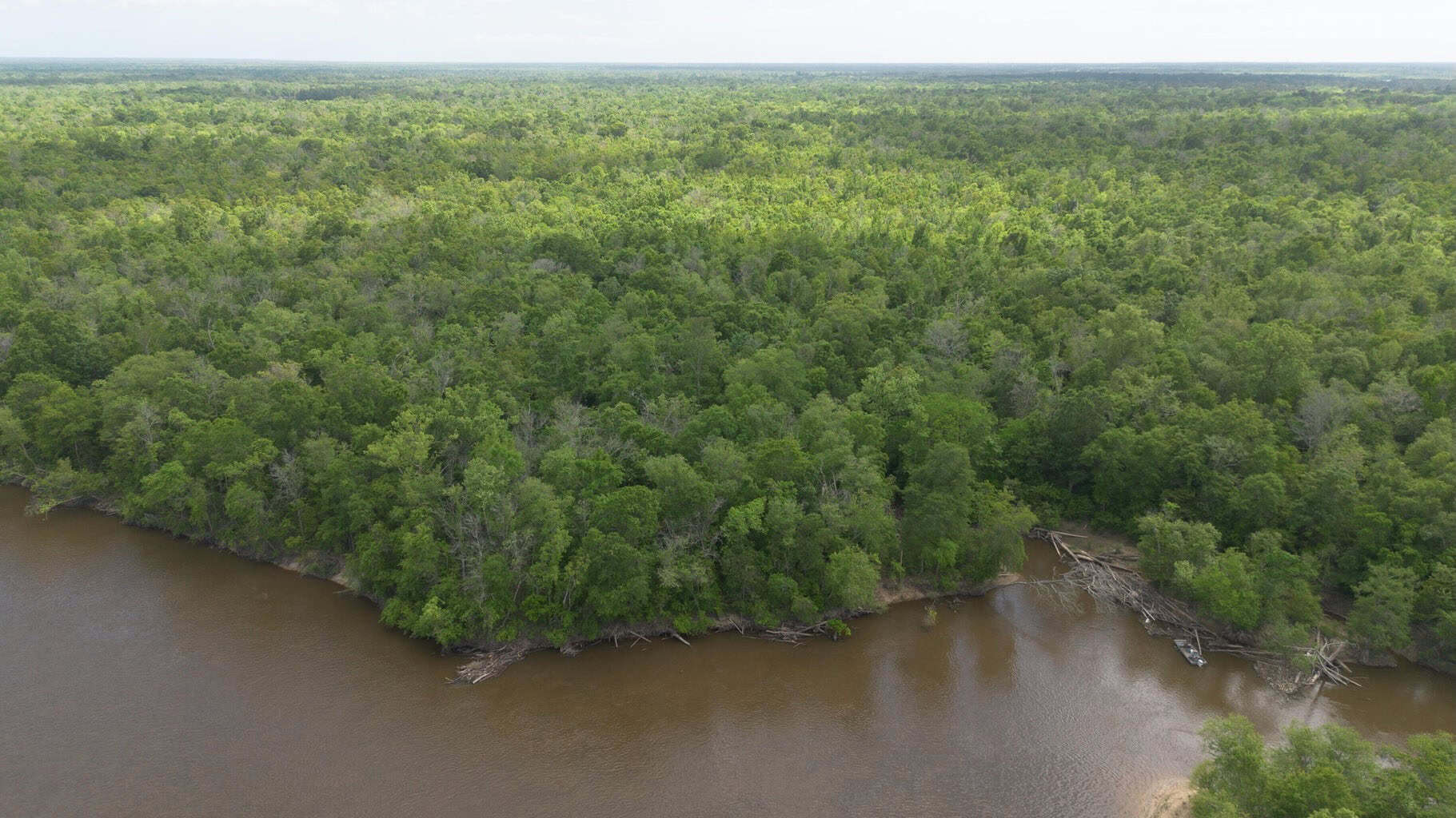 385 Acres Pearl River Frontage Louisiana