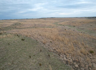 Southwest Iowa Recreational CRP Farm