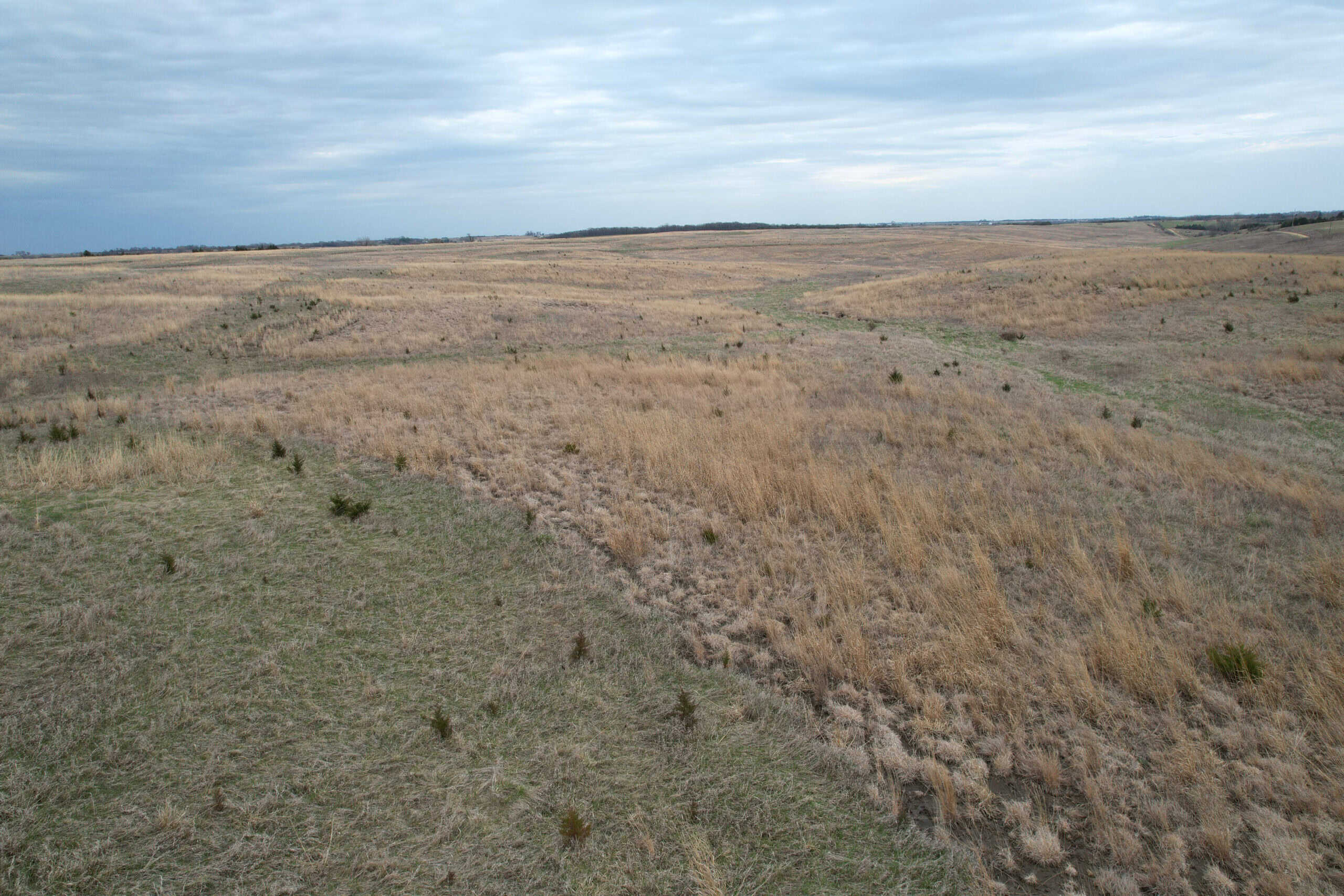 Southwest Iowa Recreational CRP Farm