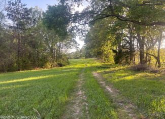 77 Acres in Edwards, MS Hinds County Big Black River Region