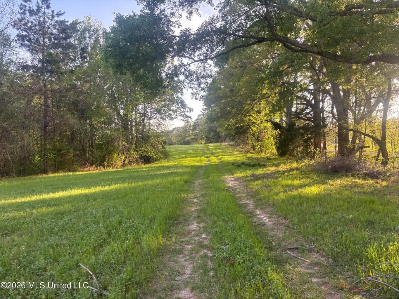 77 Acres in Edwards, MS Hinds County Big Black River Region