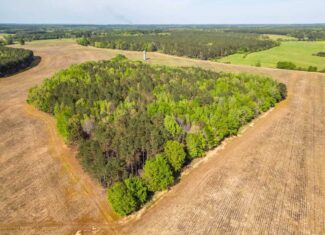 455 Acres Hunting & Income Land in Choctaw County MS
