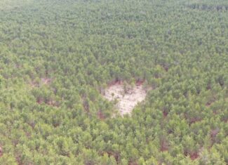 80± acre timber tract in the heart of northern Adams County