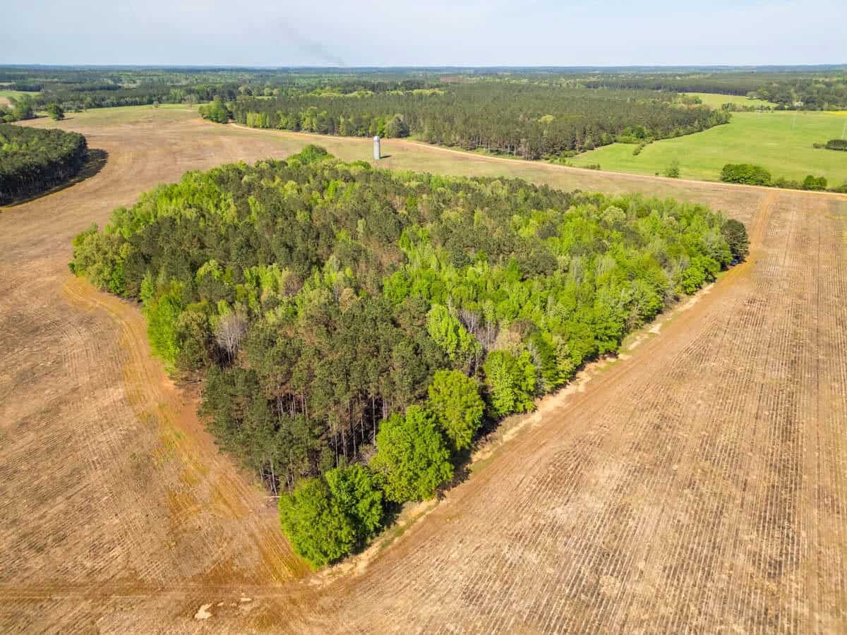 455 Acres Hunting & Income Land in Choctaw County MS