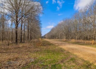 Tensas Parish Duck and Deer Hunting Property