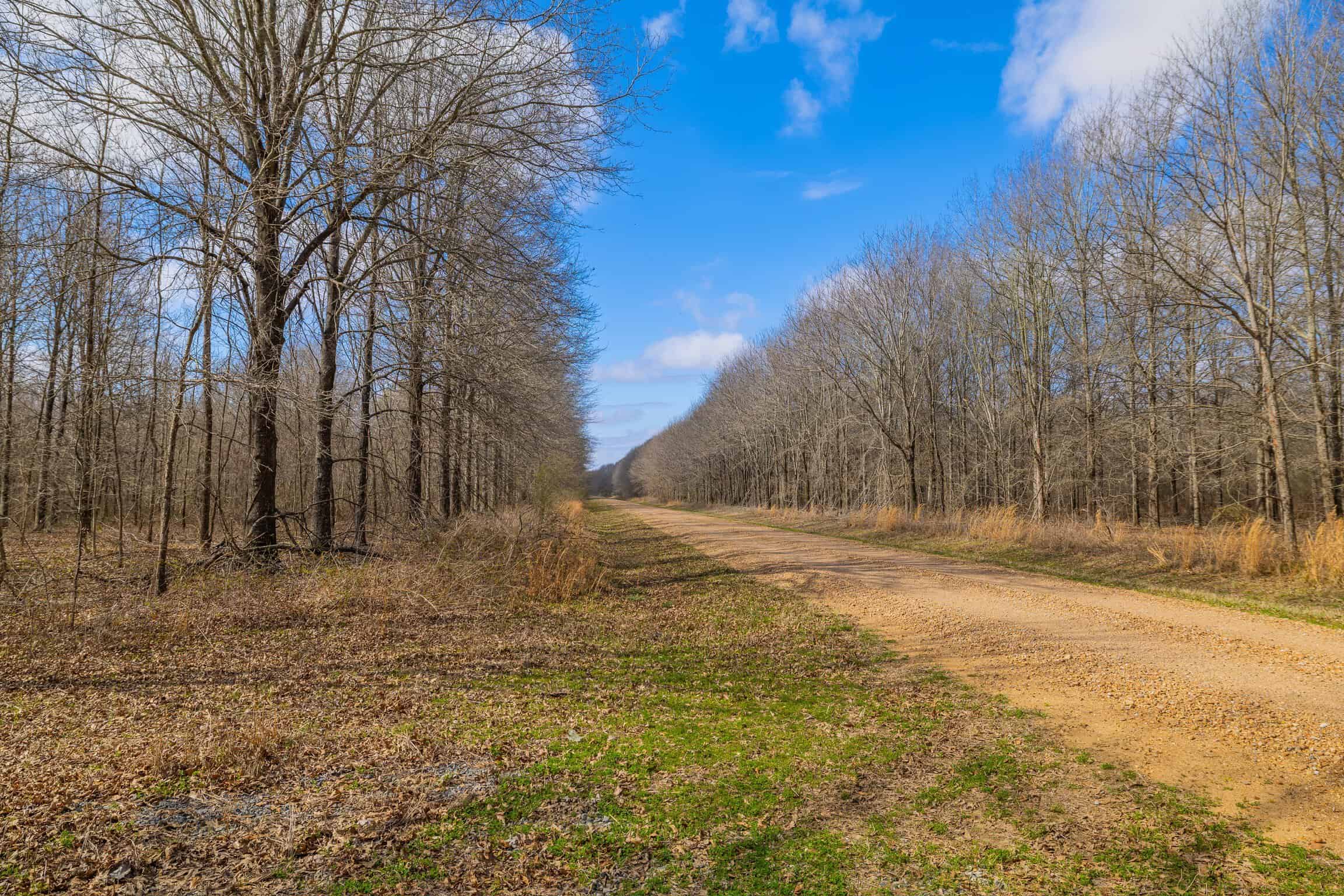 Tensas Parish Duck and Deer Hunting Property