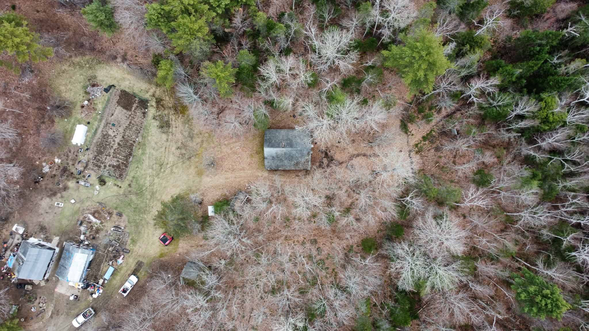 Cozy Cabin on 20 Acres: A Hunter’s Paradise and Family Retreat