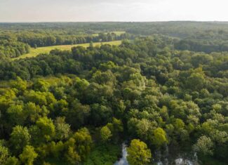 863-Acre Hunting Ranch on the Sabine River near Big Sandy TX
