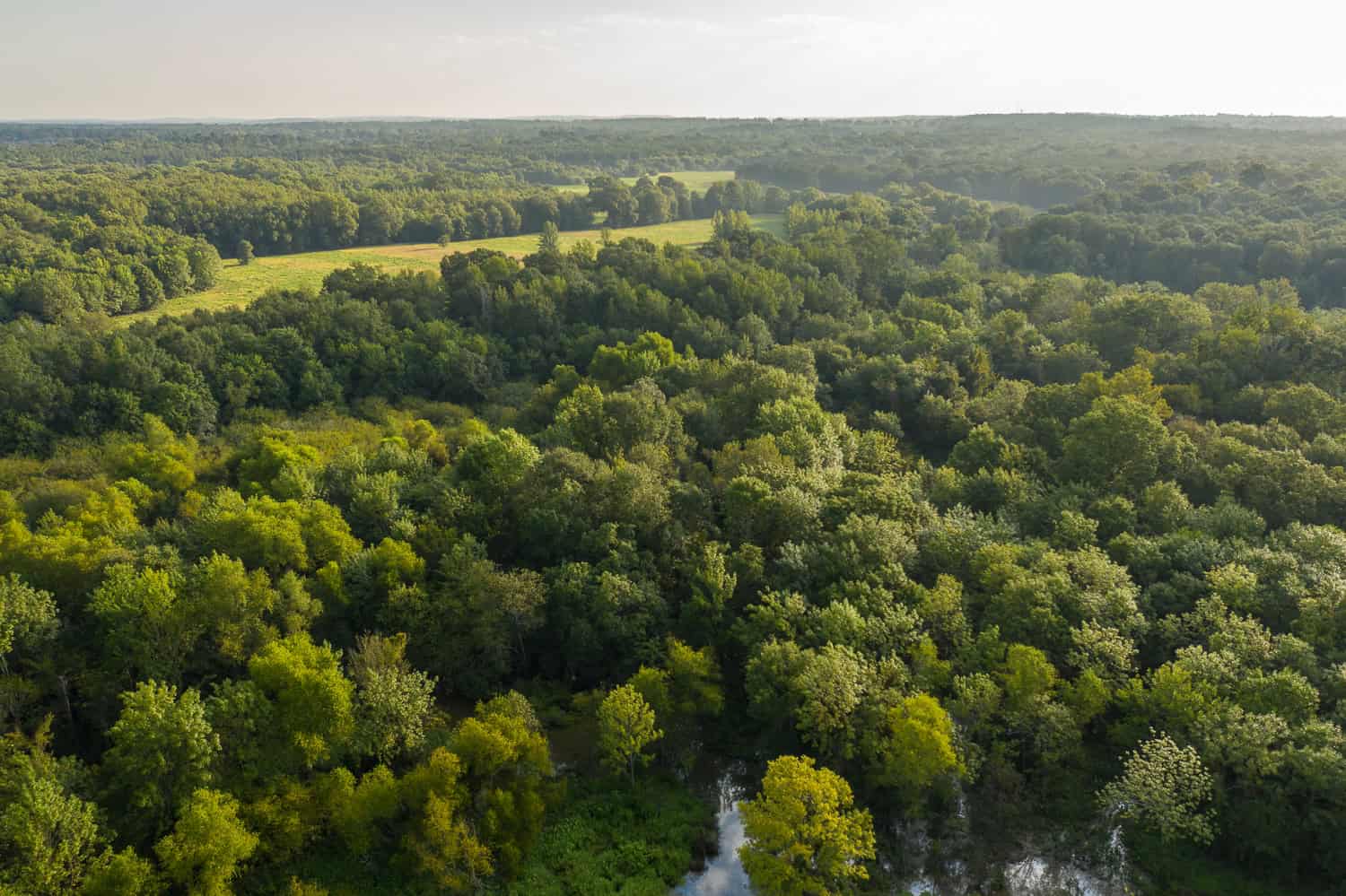 863-Acre Hunting Ranch on the Sabine River near Big Sandy TX