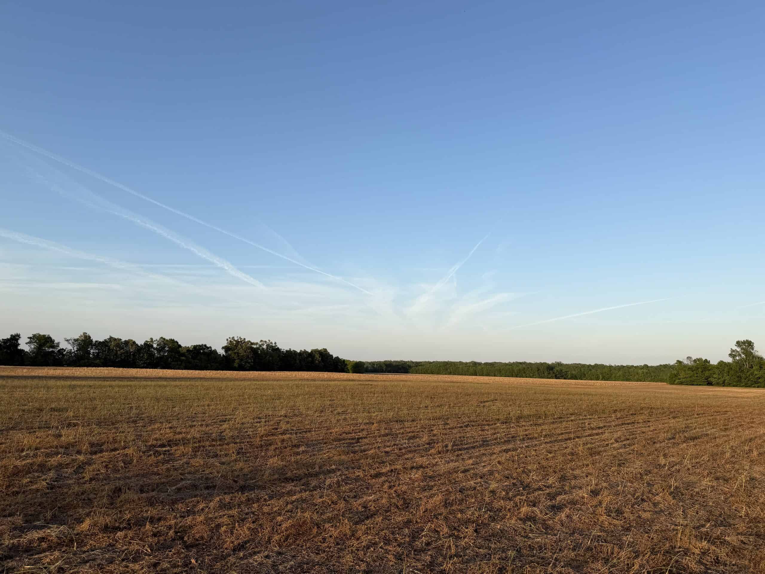 RIVERFRONT LEGACY FARM | 700 ACRES ± | LAND FOR SALE IN TN