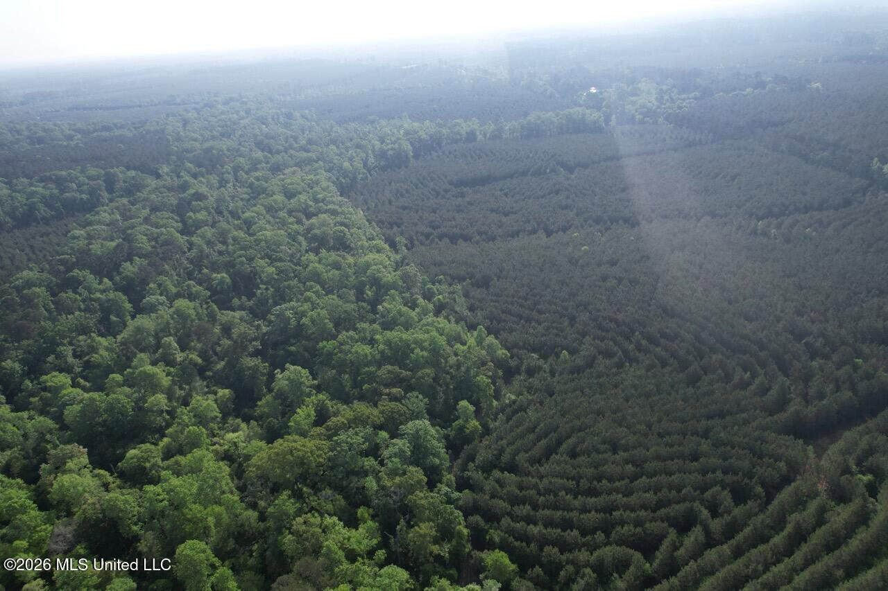46 Acres in St. Helena Parish, LA Hunting Property for Sale