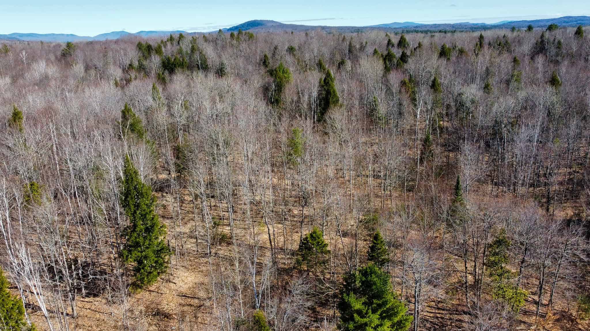 Western Maine Land for Sale – Near Sugarloaf & Outdoor Recreation