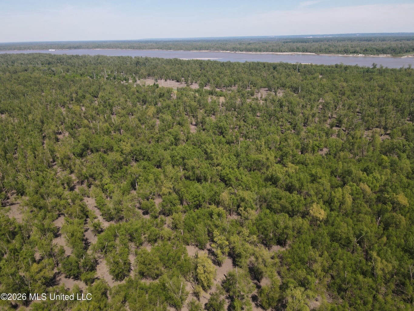 Duckport Legacy Waterfowl and Whitetail Recreational Tract
