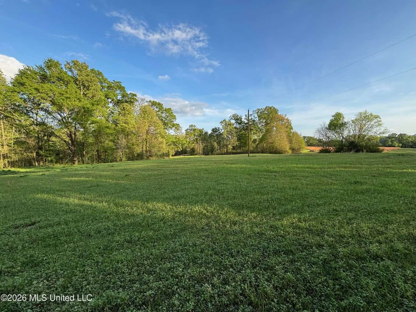 77 Acres in Edwards, MS Hinds County Big Black River Region