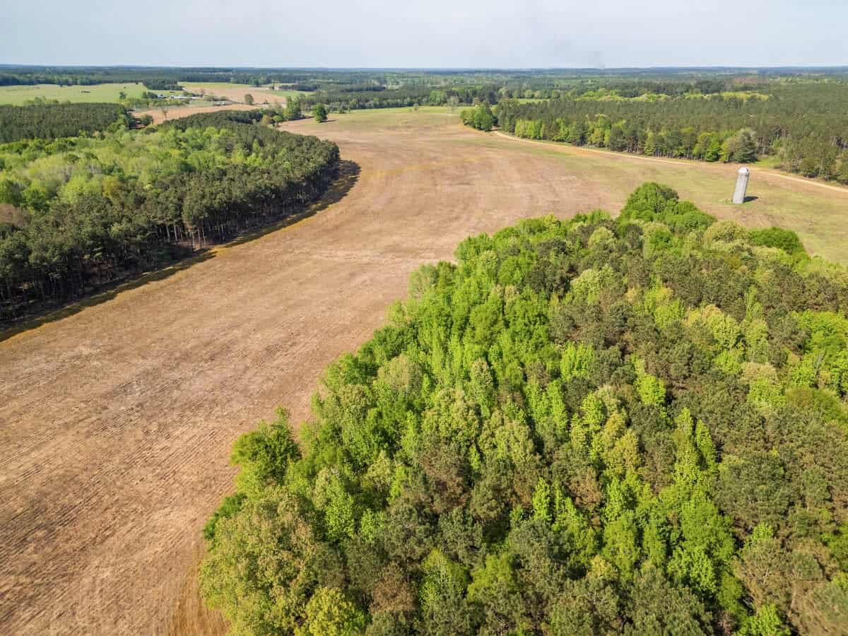 455 Acres Hunting & Income Land in Choctaw County MS