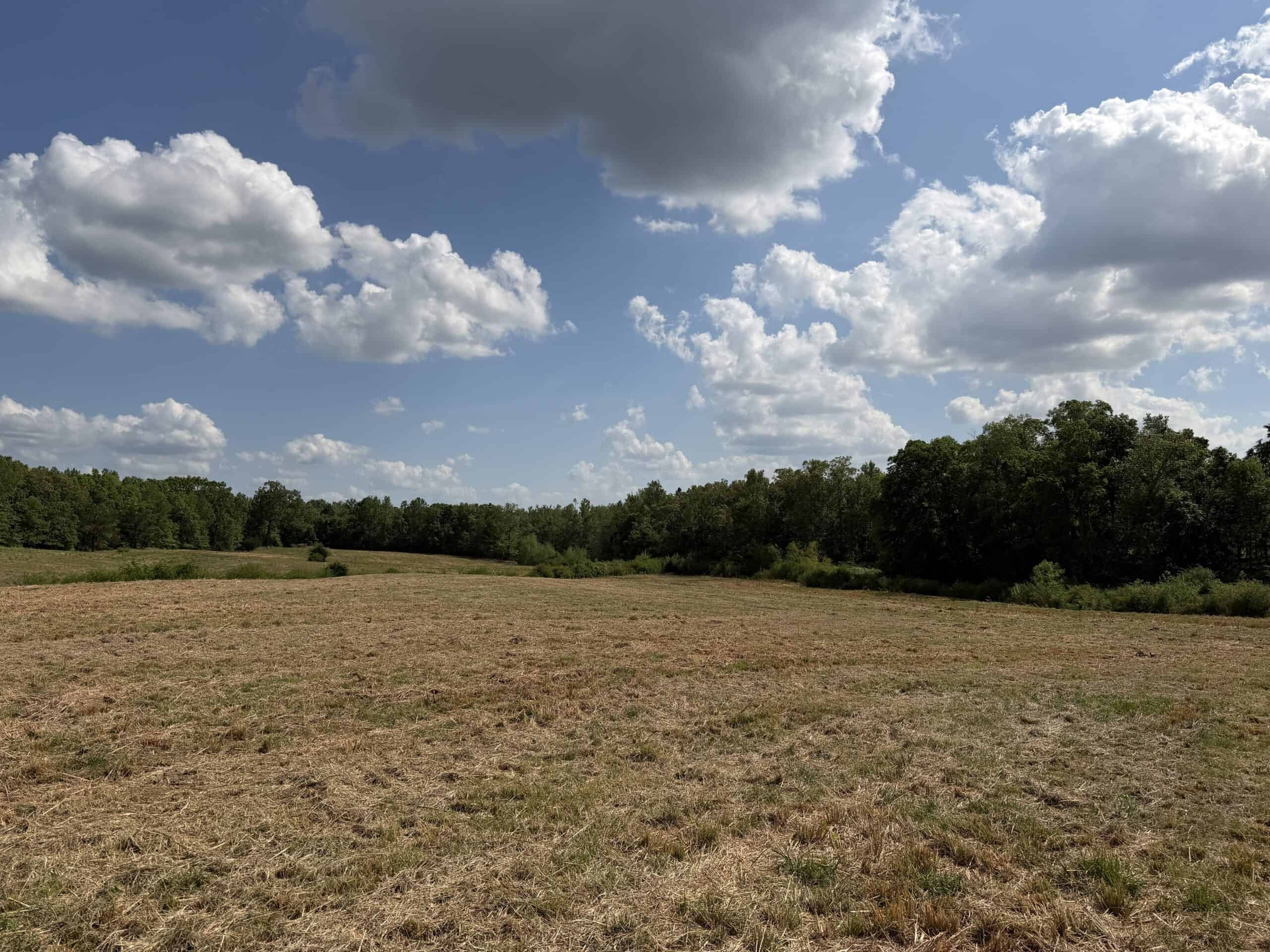 OPEN LAND FOR SALE IN TN, OLD HOUSE, BRANCH, FENCING, DEER & TURKEY HUNTING