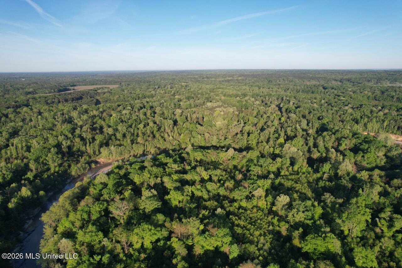 266± Acres Hinds/Copiah Line with Creek and Income