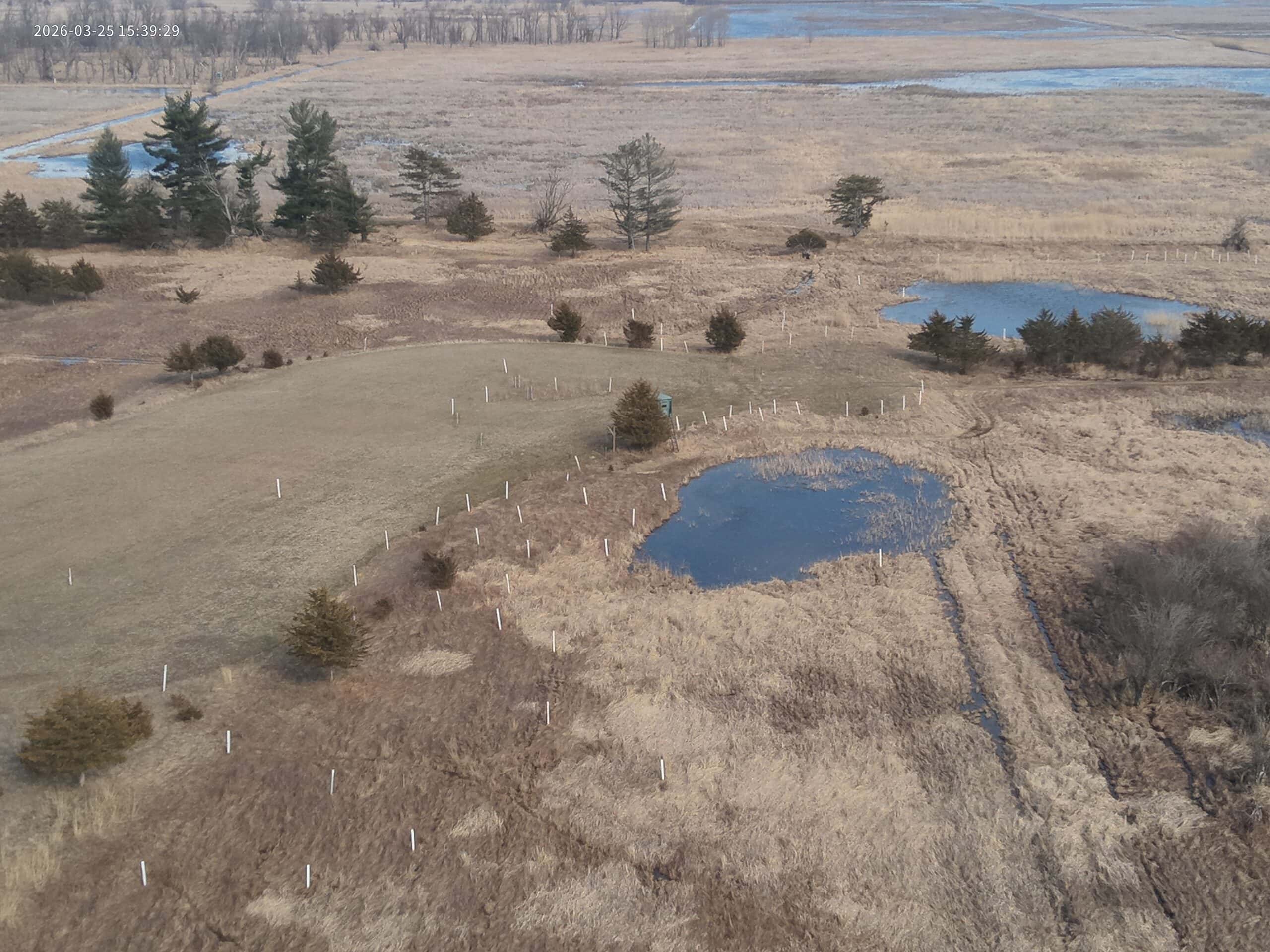 44± Acre Premier Duck and Deer Hunting Property Marquette Cty WI