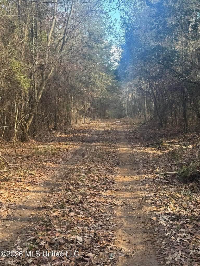 South Mississippi Hunting Land for Sale in Walthall County
