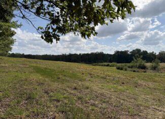 OPEN LAND FOR SALE IN TN, OLD HOUSE, BRANCH, FENCING, DEER & TURKEY HUNTING