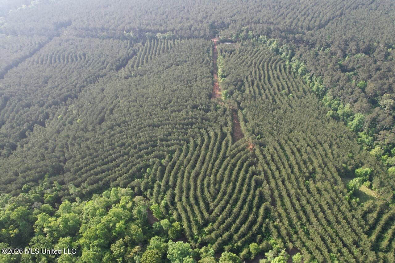 46 Acres in St. Helena Parish, LA Hunting Property for Sale