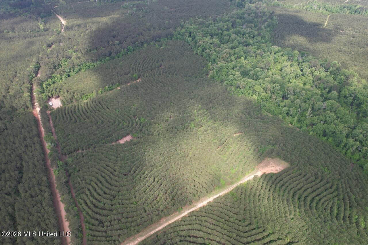 47 Acres in St. Helena Parish, LA with Black Creek