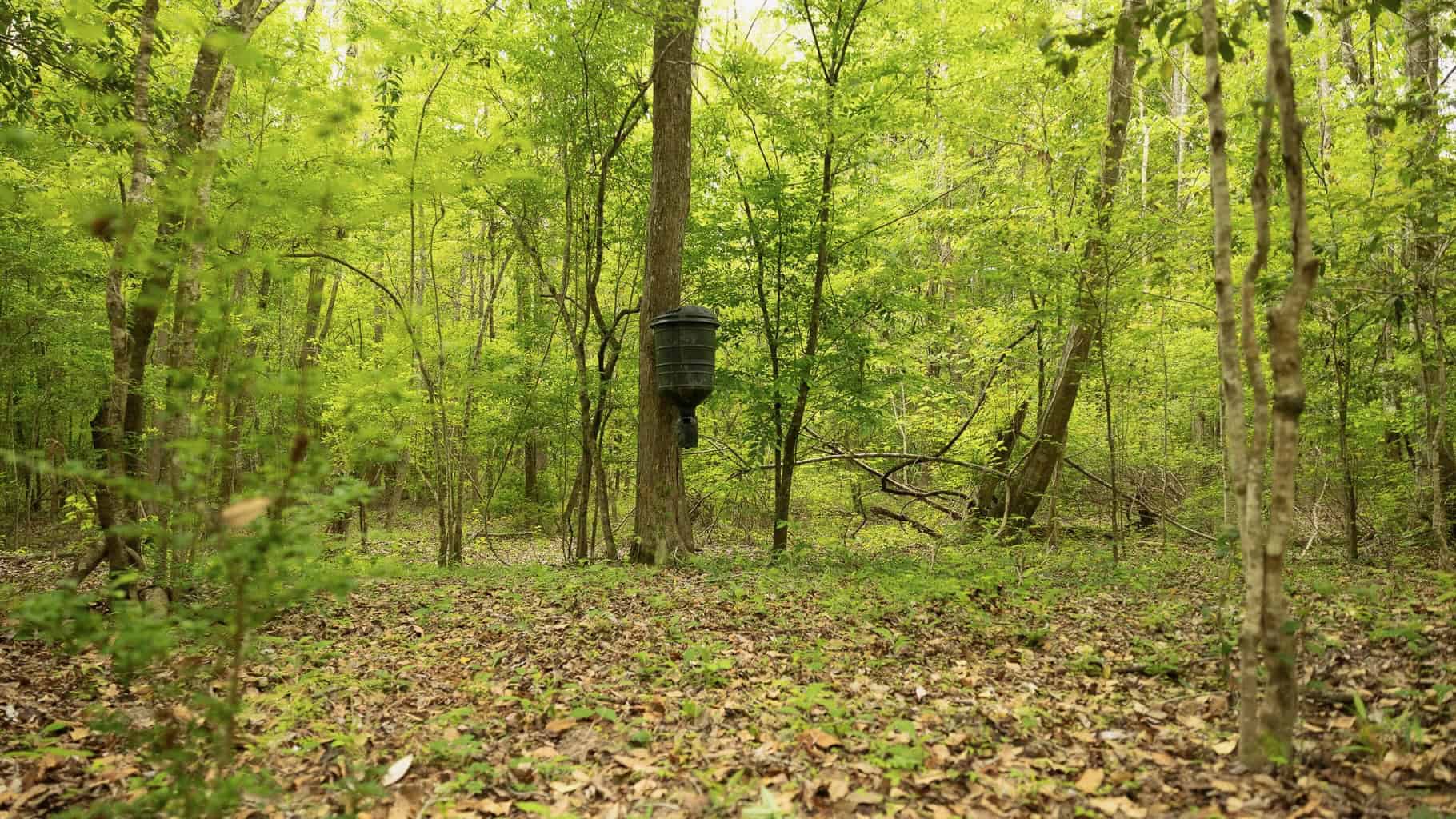 385 Acres Pearl River Frontage Louisiana