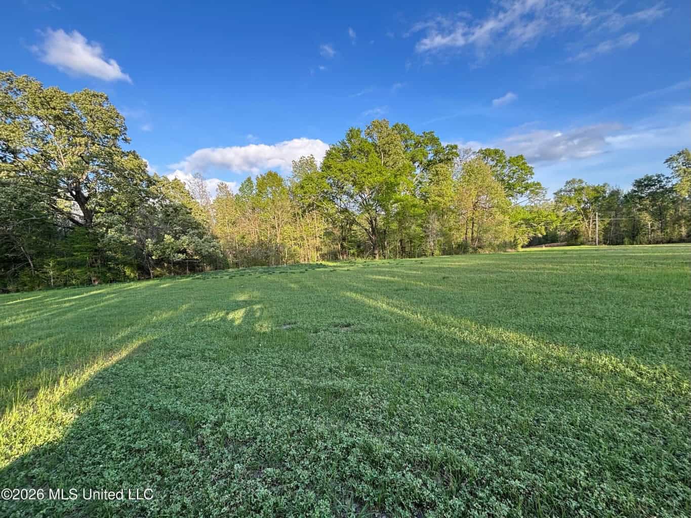 77 Acres in Edwards, MS Hinds County Big Black River Region