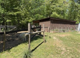 Hobby Farm for sale in TN, 44.81, Mostly Wooded, Creek, Fenced Pastures, Shop, Barn, and Great Deer & Turkey Hunting Land!