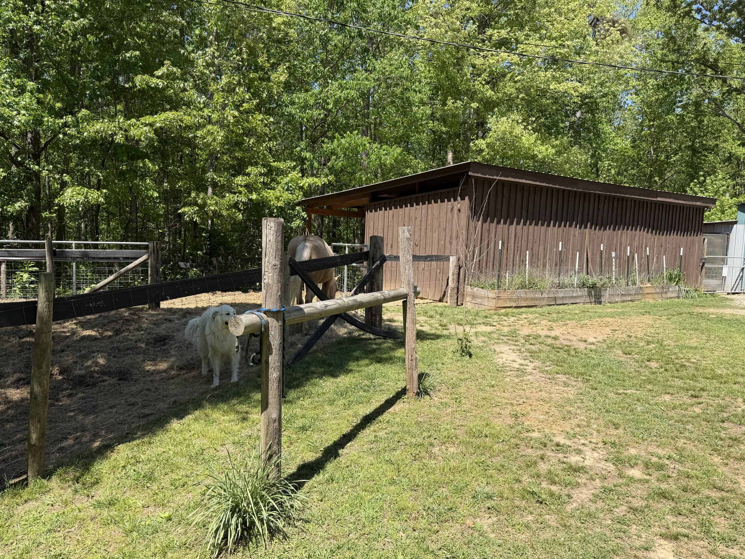 Hobby Farm for sale in TN, 44.81, Mostly Wooded, Creek, Fenced Pastures, Shop, Barn, and Great Deer & Turkey Hunting Land!