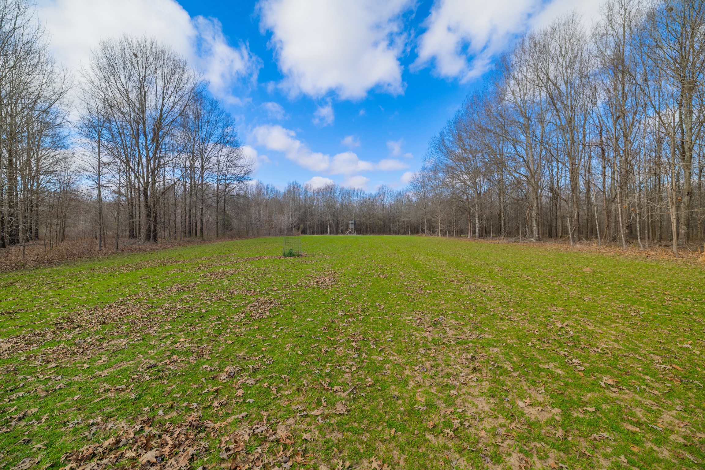 330+/- Acre Deer and Duck Hunting Property with a Camp