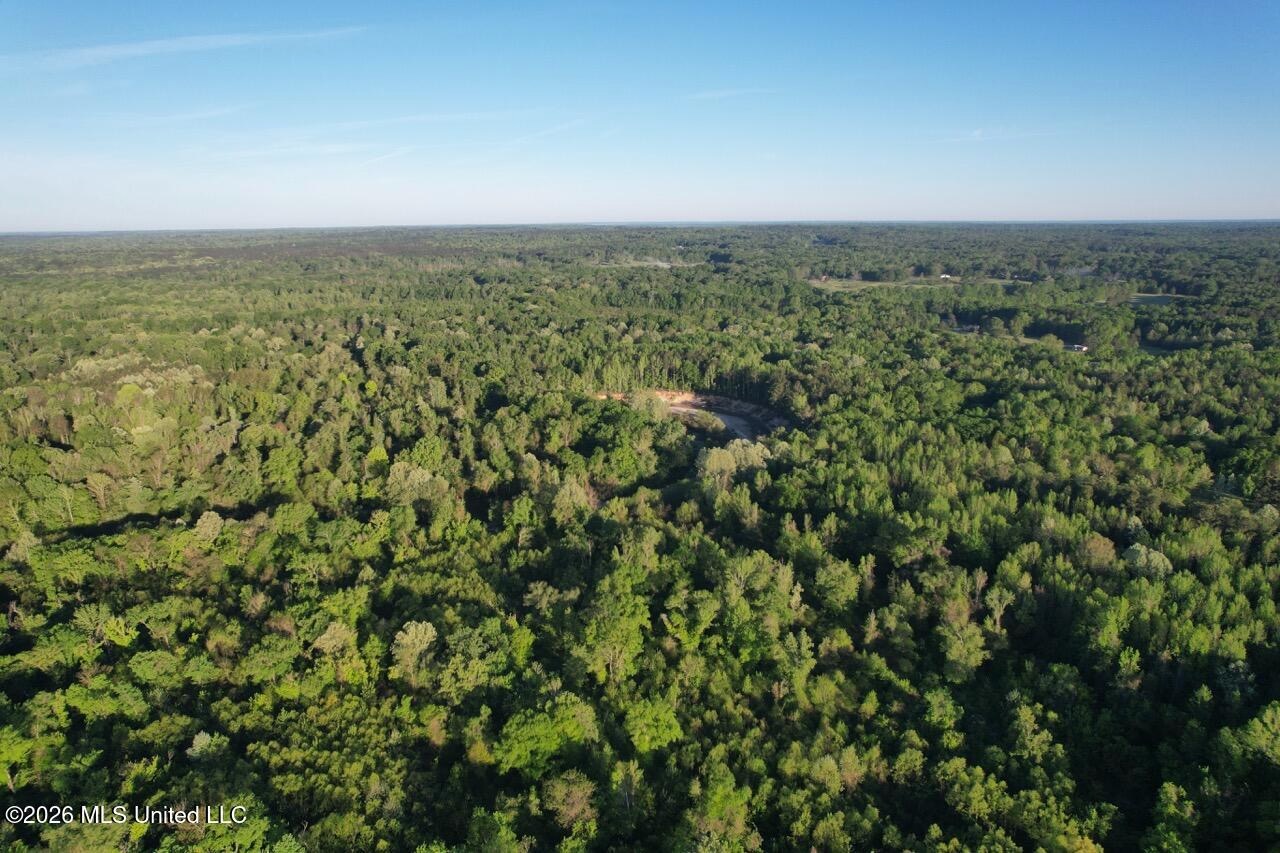 266± Acres Hinds/Copiah Line with Creek and Income