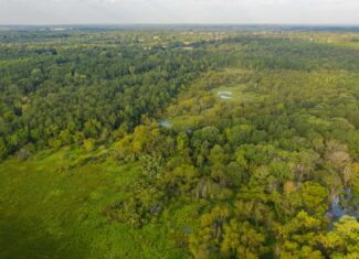 863-Acre Hunting Ranch on the Sabine River near Big Sandy TX