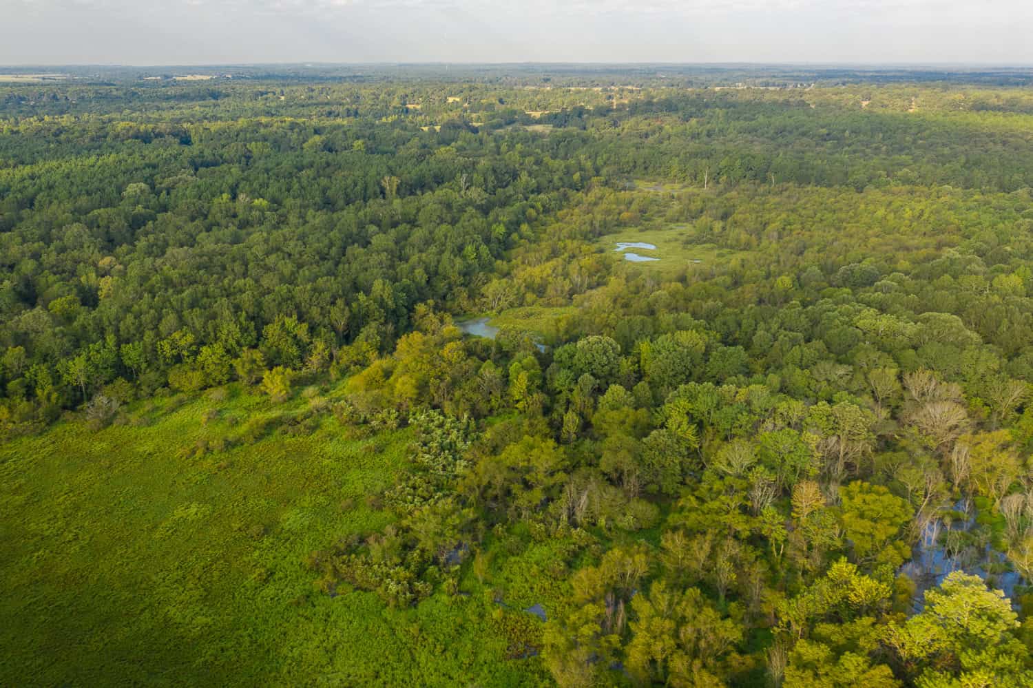 863-Acre Hunting Ranch on the Sabine River near Big Sandy TX