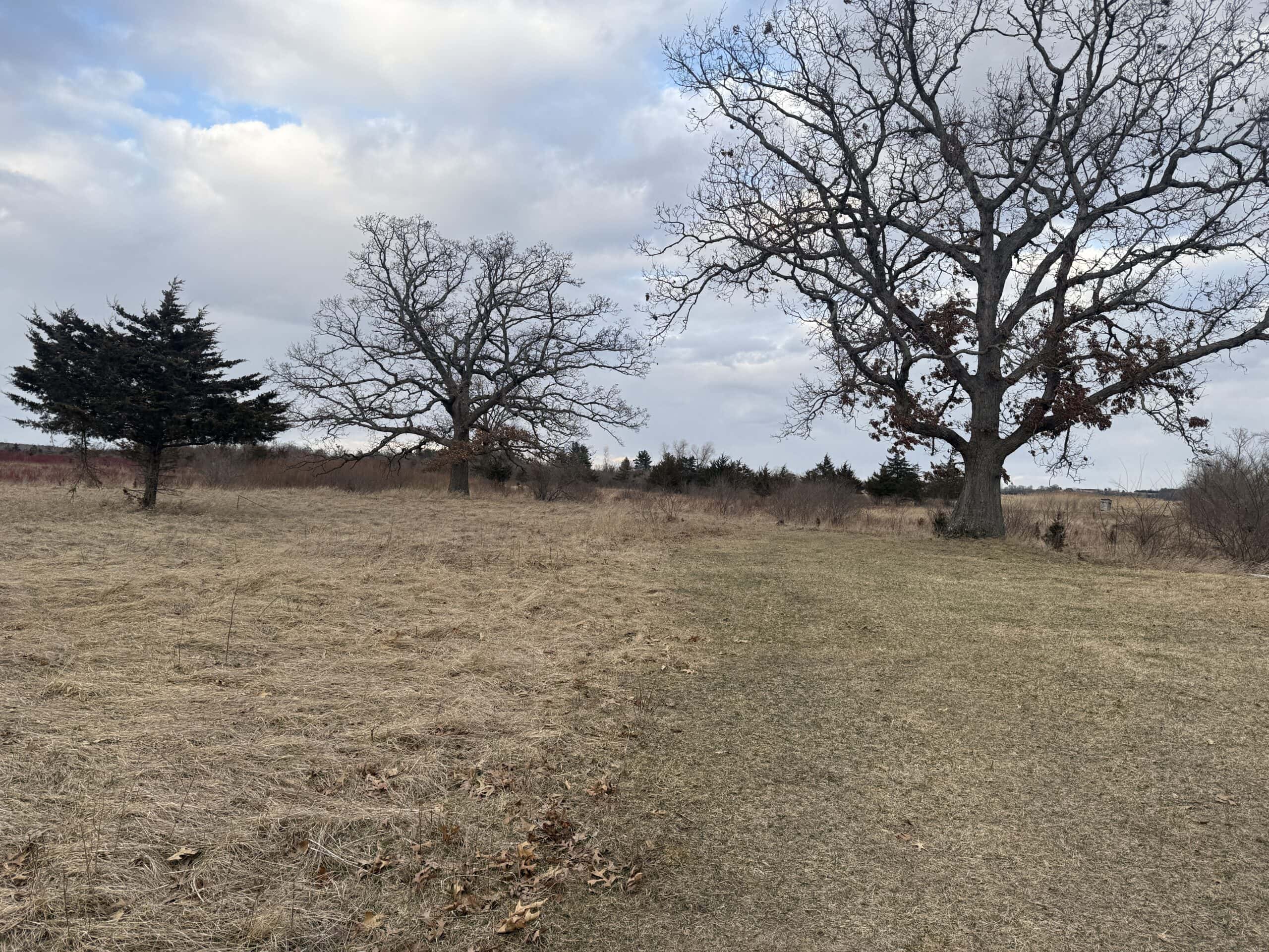 44± Acre Premier Duck and Deer Hunting Property Marquette Cty WI