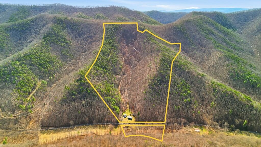 Ultimate Mountain Retreat: 70 Acres Bordering National Forest