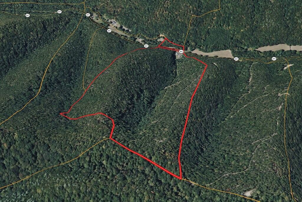 Ultimate Mountain Retreat: 70 Acres Bordering National Forest