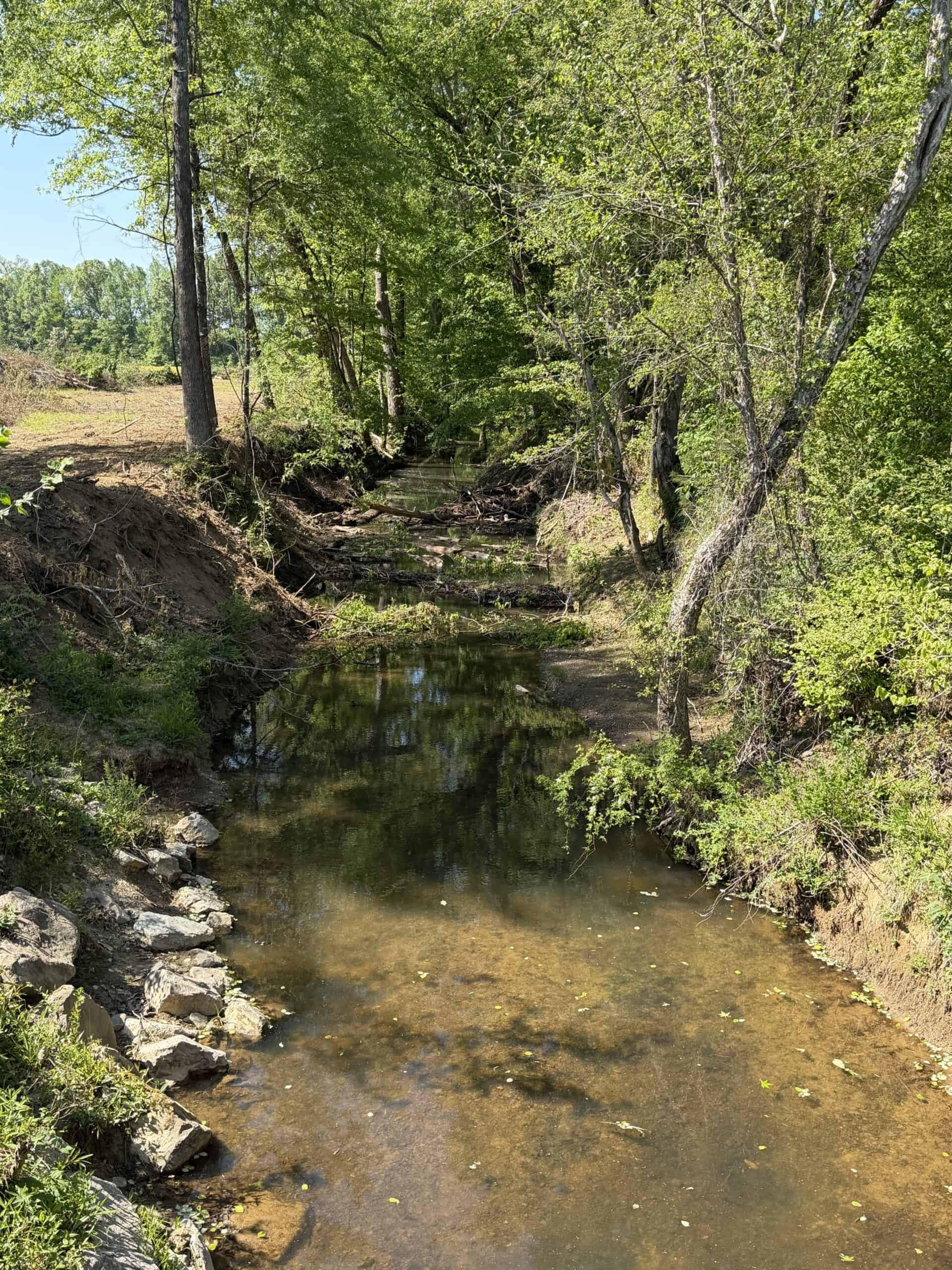 PRIVATE COUNTRY HOME FOR SALE IN TN 35 AC SHOP CREEK FIELDS