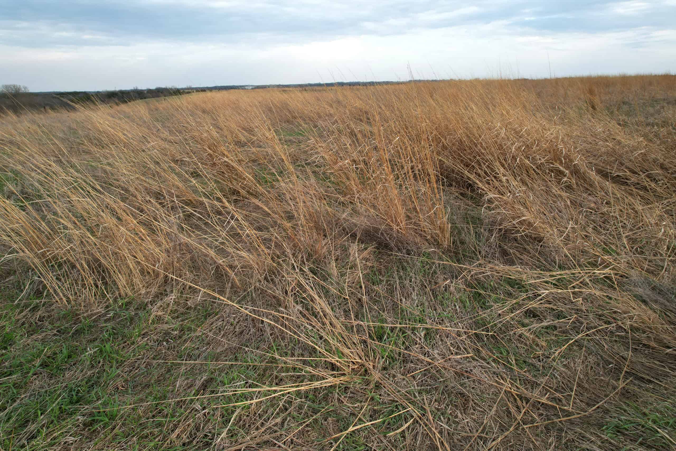Southwest Iowa Combination Farm