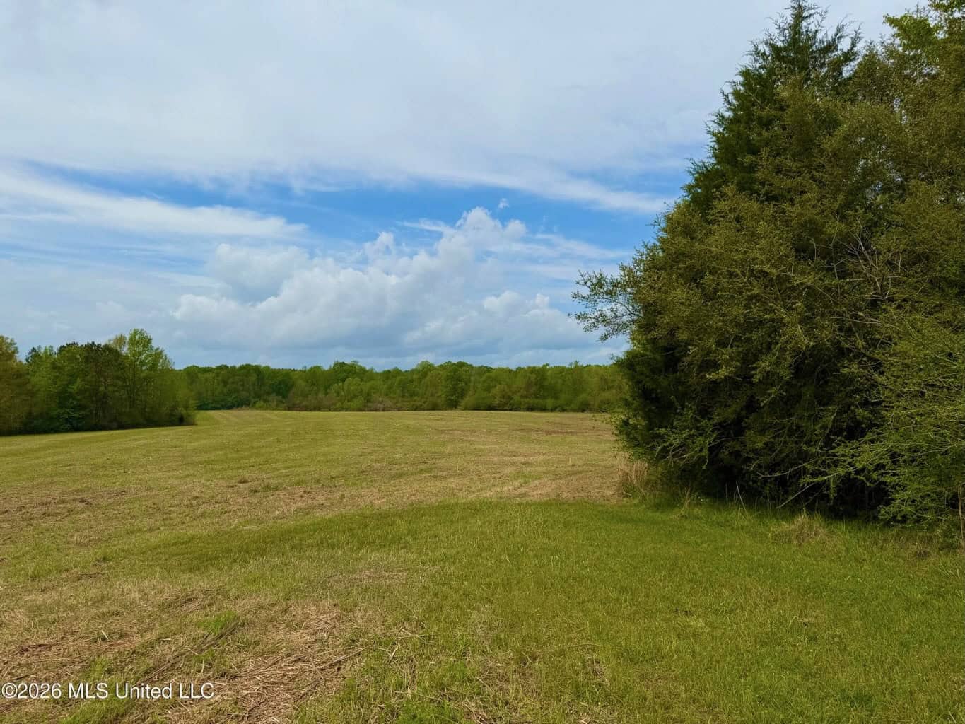 64+- Pastureland West Lincoln School Smithdale MS