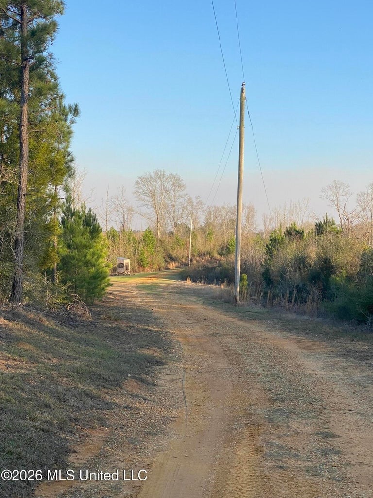 Hunting and Recreational Land for Sale in Amite County, Miss