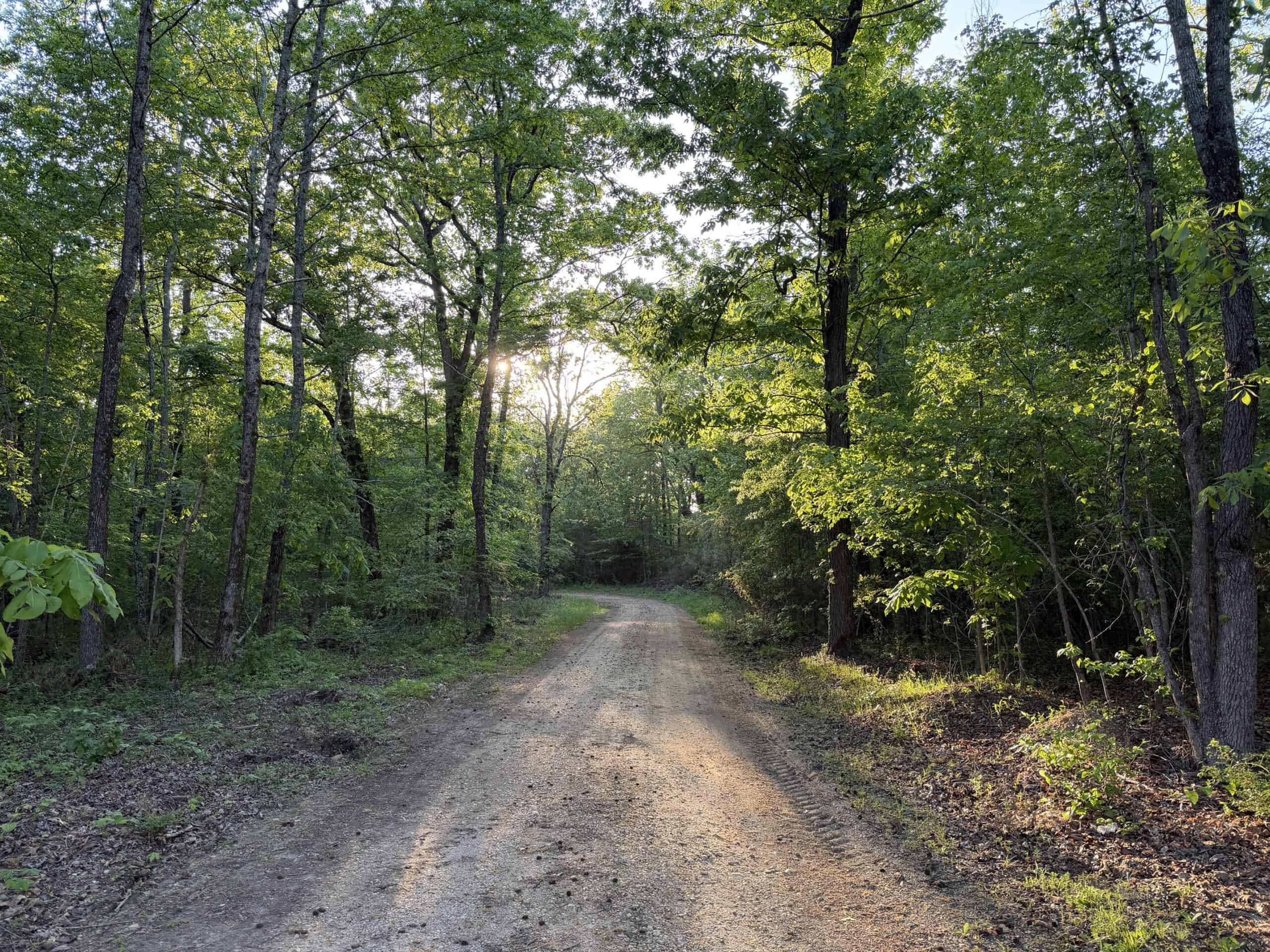 RIVERFRONT LEGACY FARM | 700 ACRES ± | LAND FOR SALE IN TN
