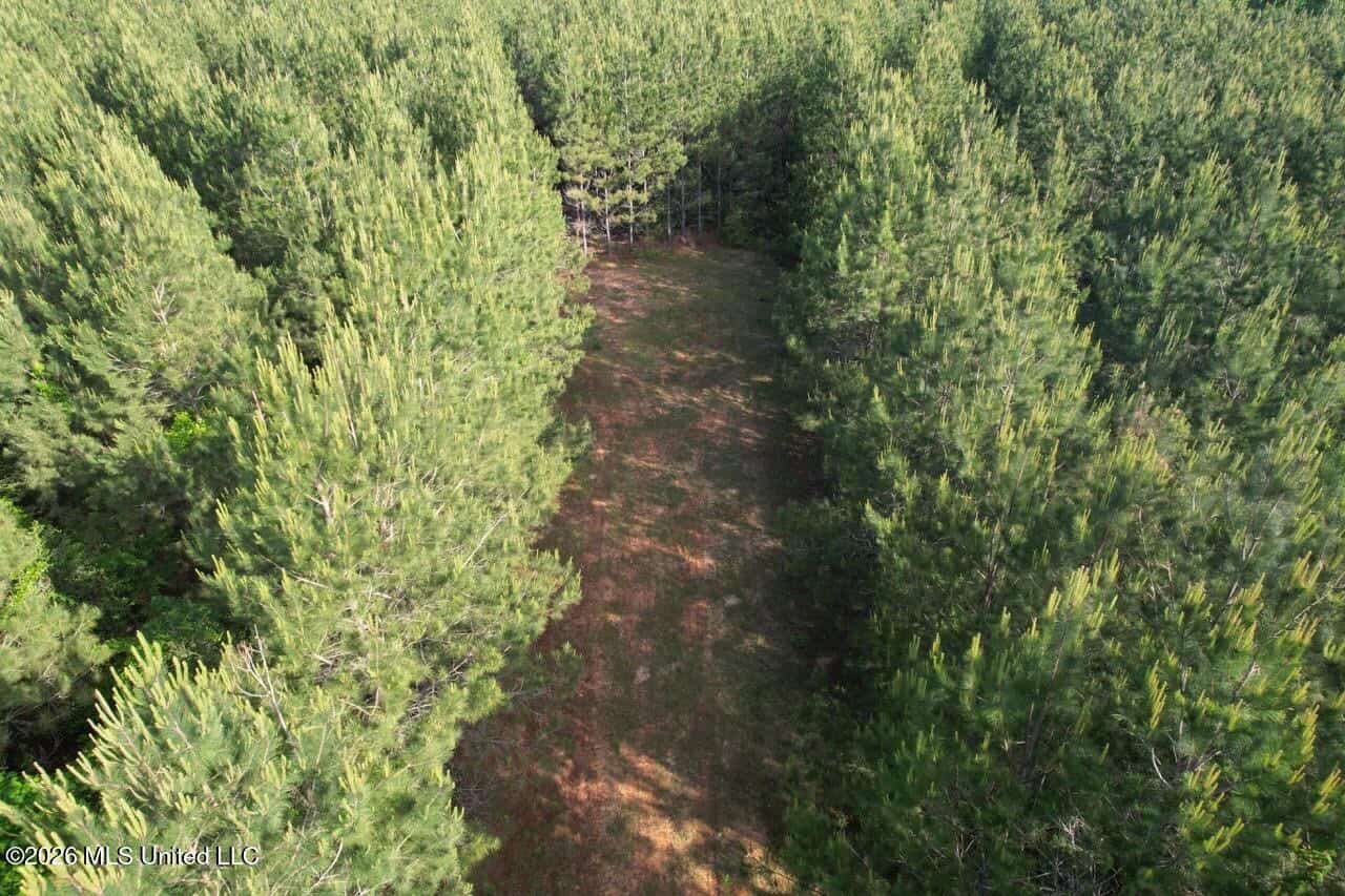 46 Acres in St. Helena Parish, LA Hunting Property for Sale