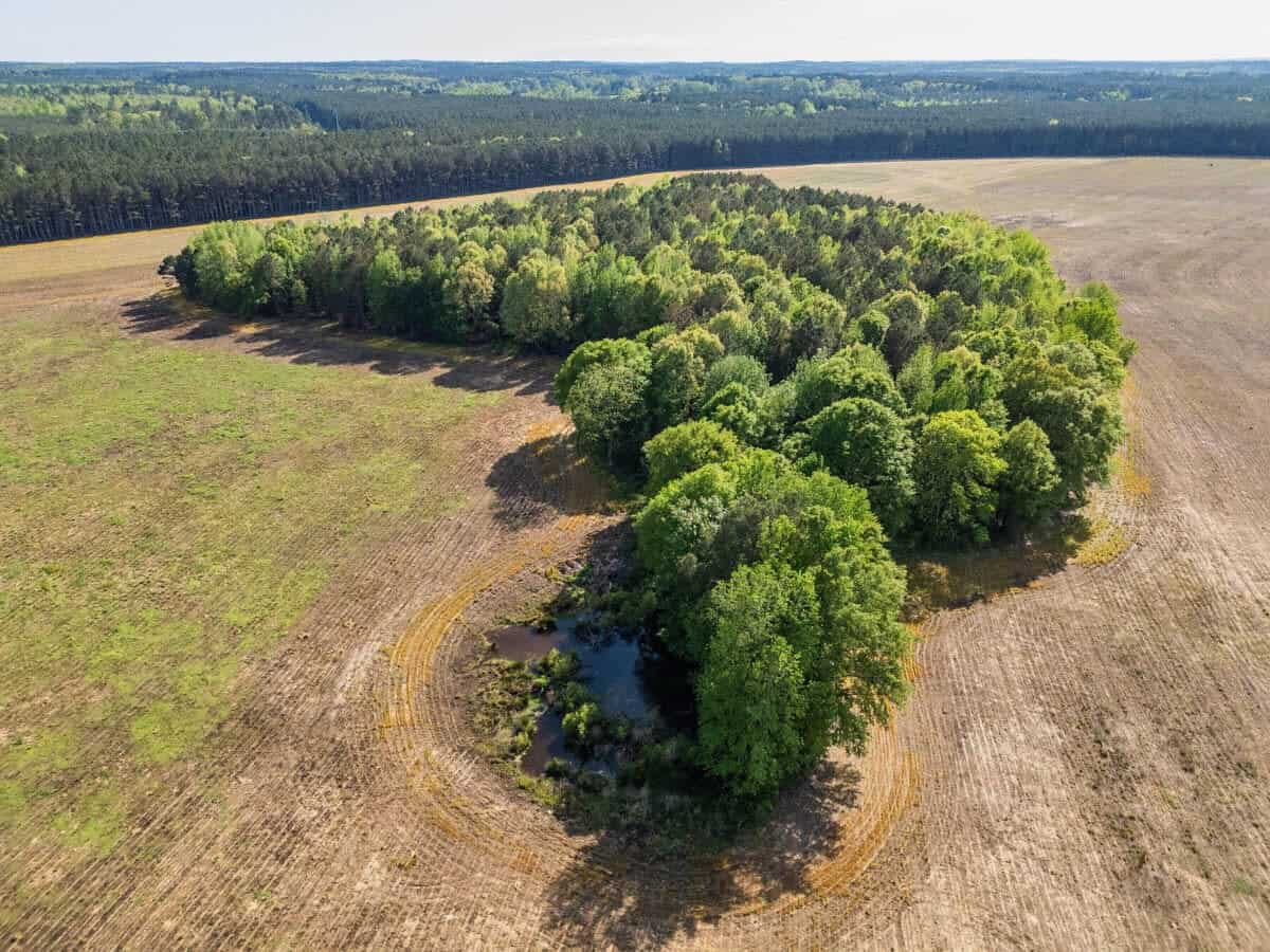 455 Acres Hunting & Income Land in Choctaw County MS