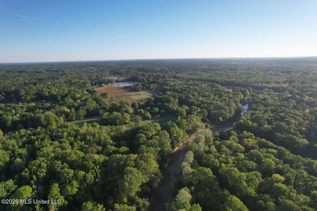 266± Acres Hinds/Copiah Line with Creek and Income