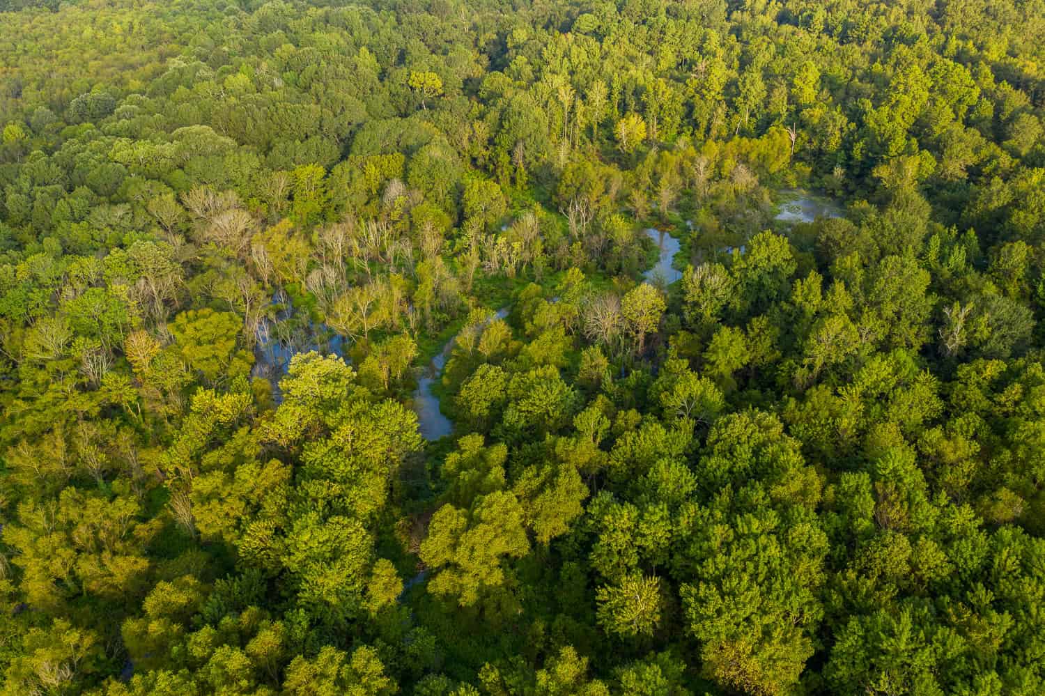 863-Acre Hunting Ranch on the Sabine River near Big Sandy TX