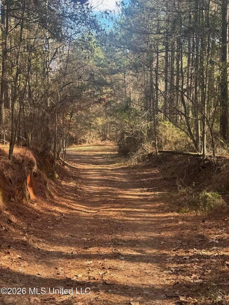 South Mississippi Hunting Land for Sale in Walthall County
