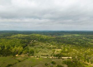 1141 Little Woods Road, Elizabeth, Arkansas
